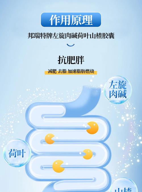 减肥胶囊什么原理