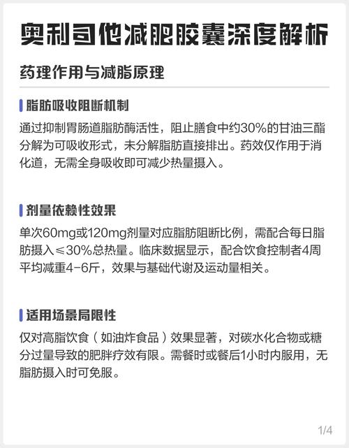 减肥胶囊什么原理