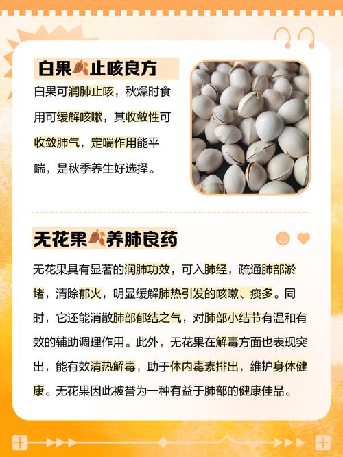 什么水果去肺火