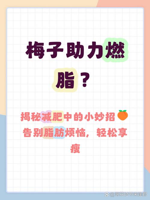 吃什么梅子能减肥吗