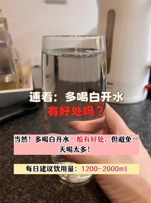 白开水加什么减肥吗