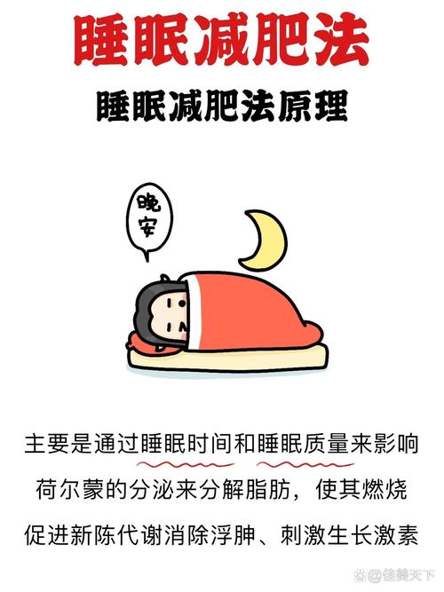 睡觉前什么减肥
