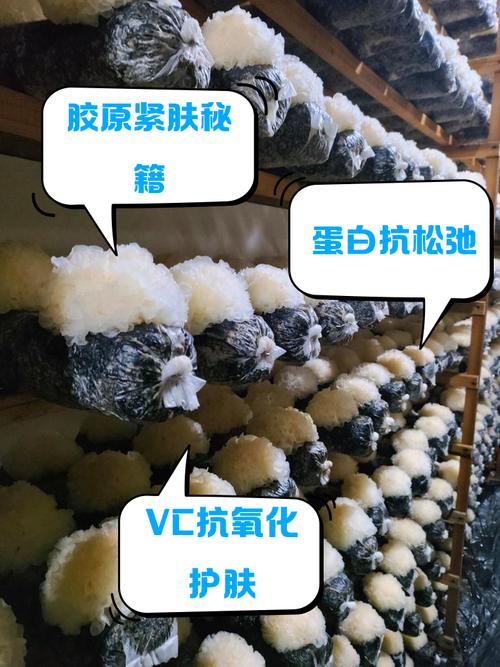 吃什么皮肤会紧致