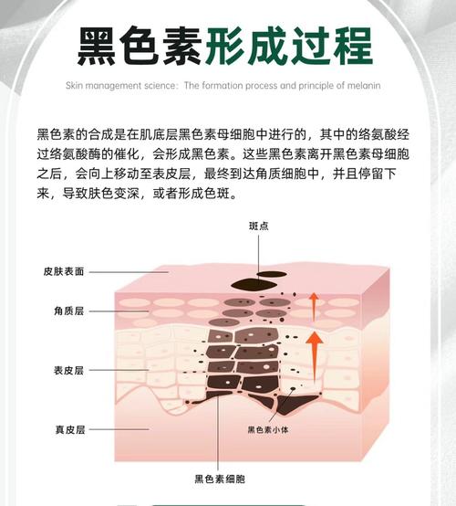 黑色素是什么图片