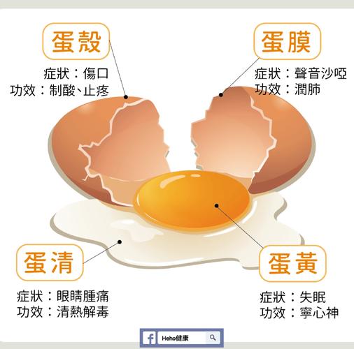 鸡蛋减肥的原理是什么意思