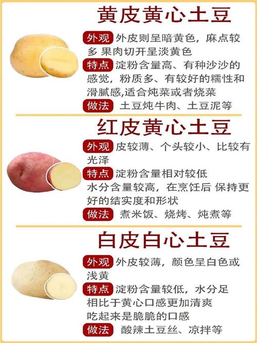 土豆为什么能减肥