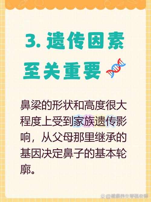 鼻梁什么时候定型