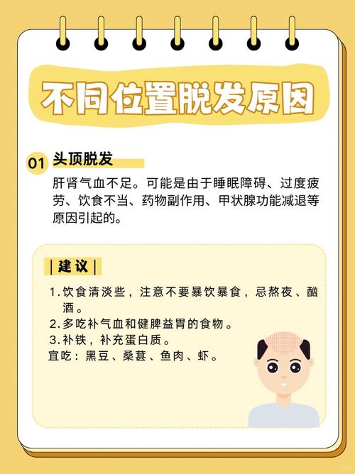 熬夜为什么会脱发