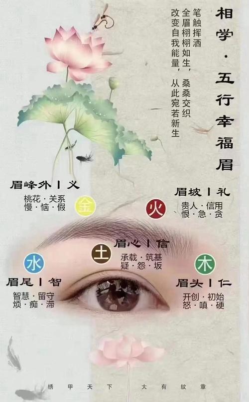 眉有什么作用