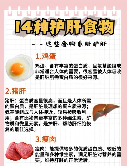 养肝排毒吃什么好