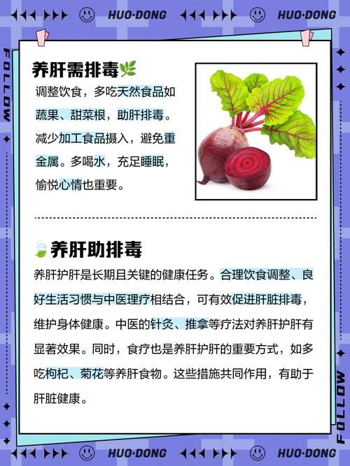 养肝排毒吃什么好