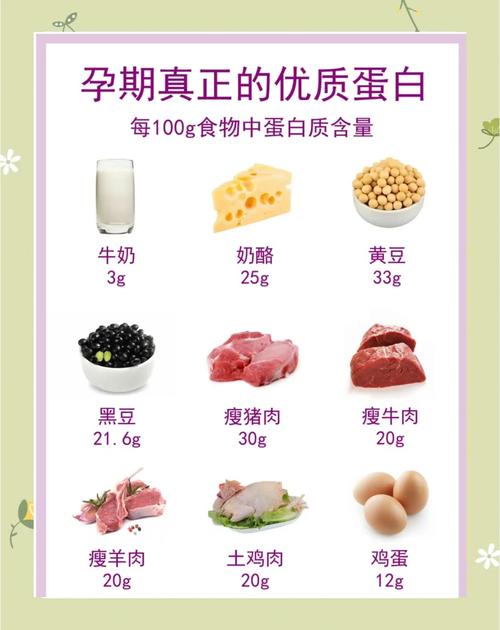 吃什么可以补蛋白质