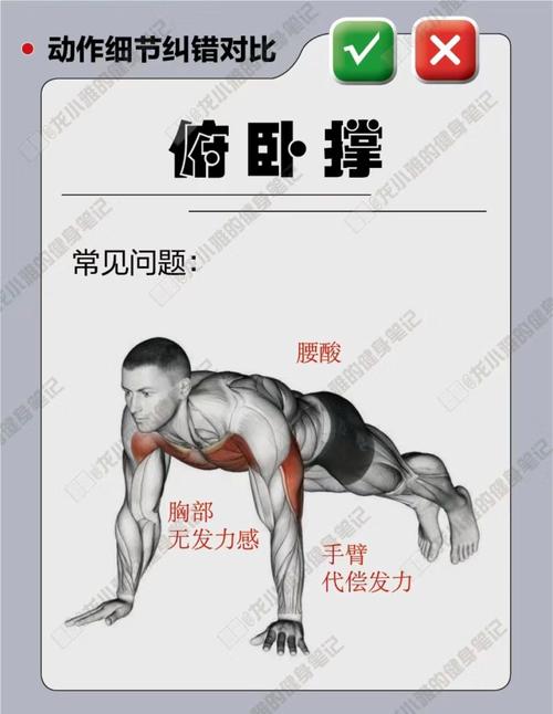 俯卧撑锻炼什么部位