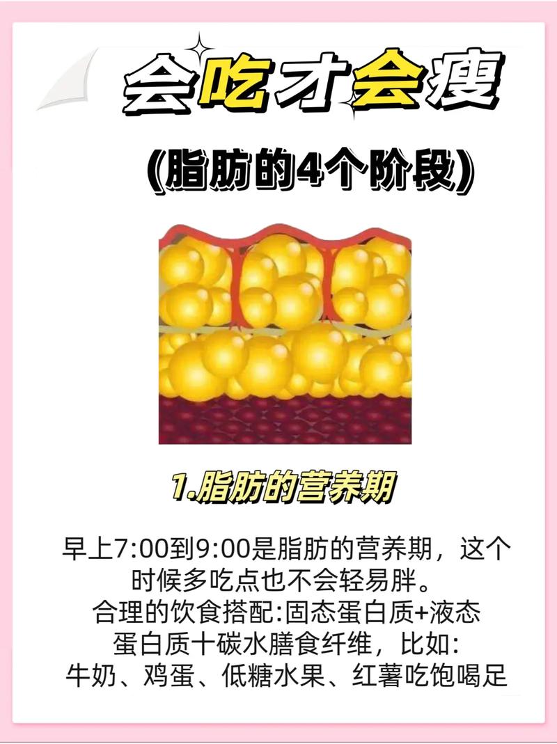 吃什么脂肪代谢快