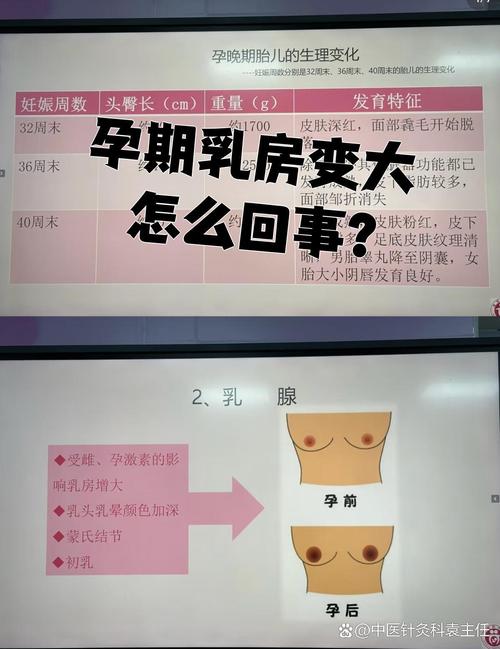 乳头什么时候变大