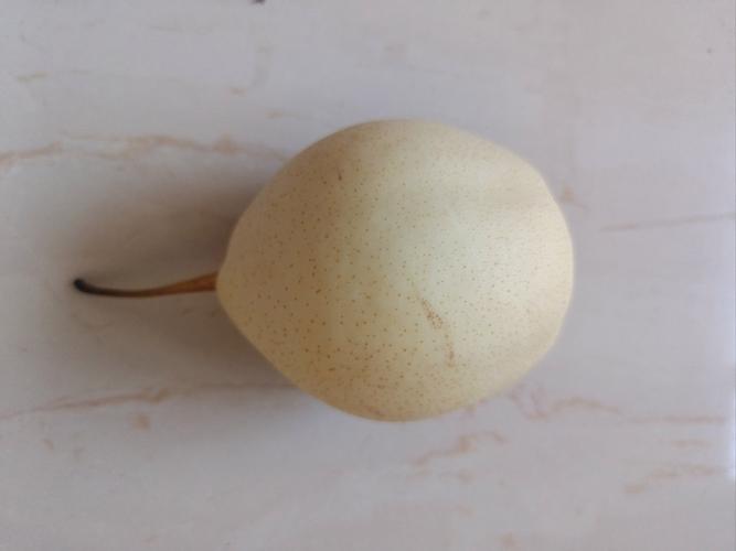 鸭梨是什么样的