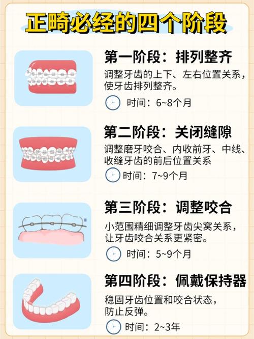 牙齿什么时候定型