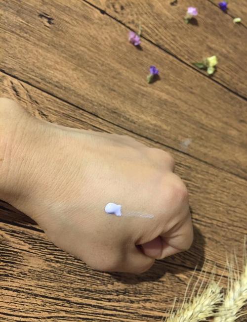 兰芝紫隔离最新品质