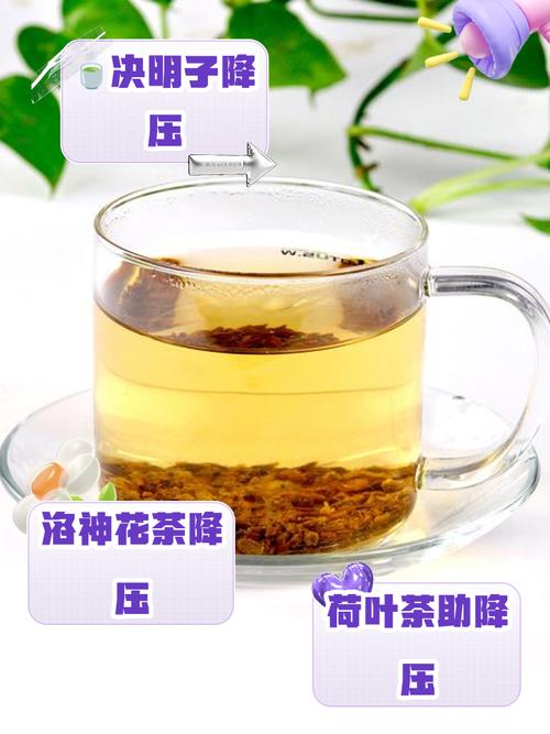 什么茶能减肥降压