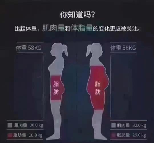 燃脂和减肥有什么区别