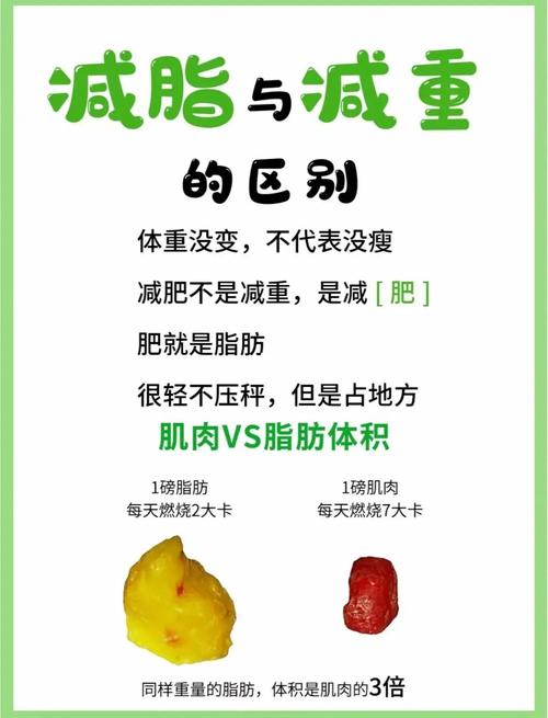 燃脂和减肥有什么区别