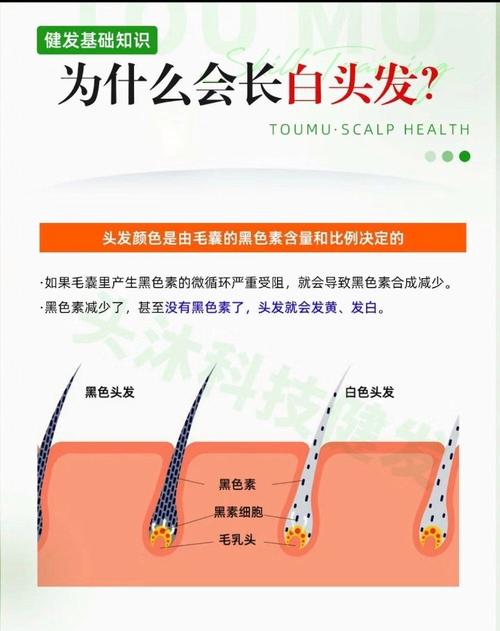 为什么要长白头发