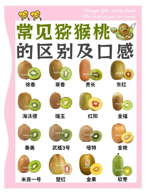 猕猴桃加和什么配能减肥