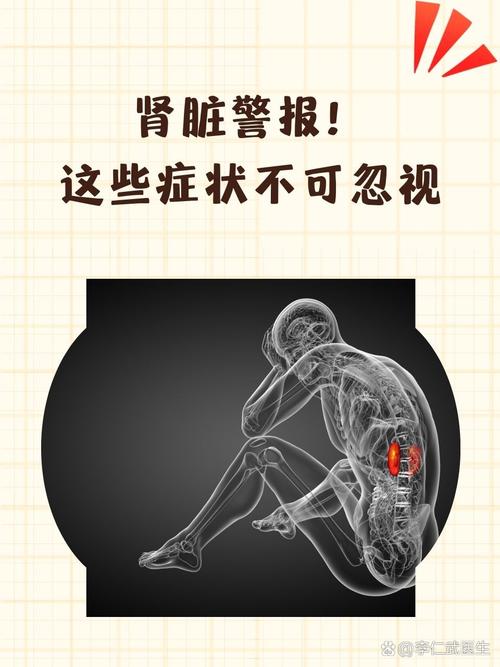 肾不好会影响什么