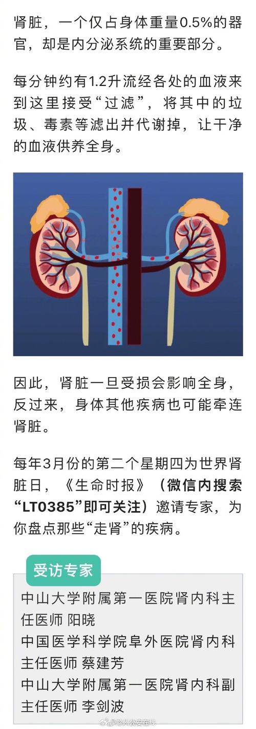 肾不好会影响什么