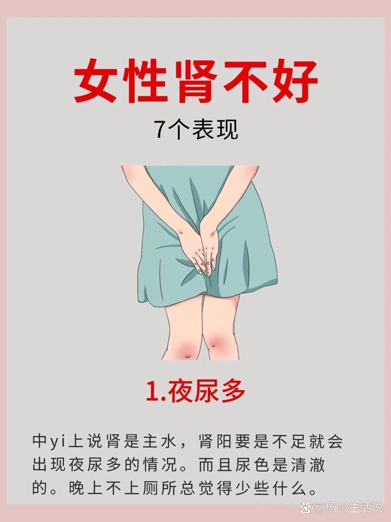 肾不好会影响什么