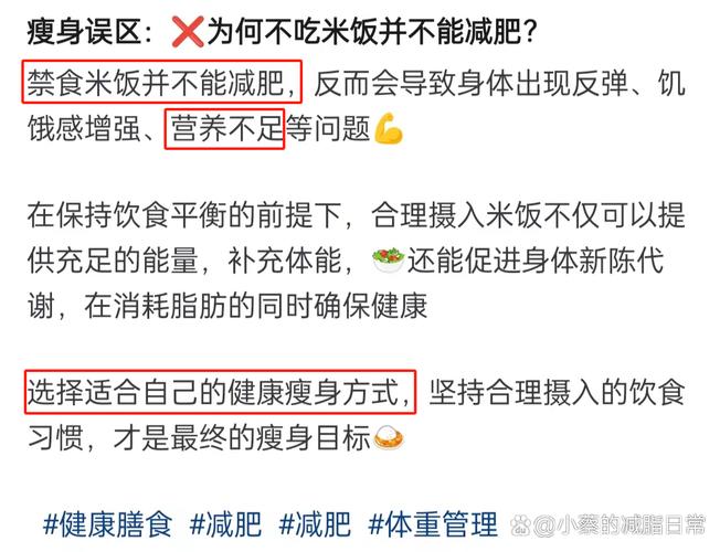 为什么减肥不吃米饭