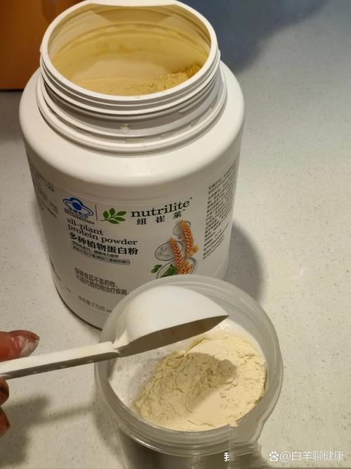 减肥需要补充什么样的蛋白质粉