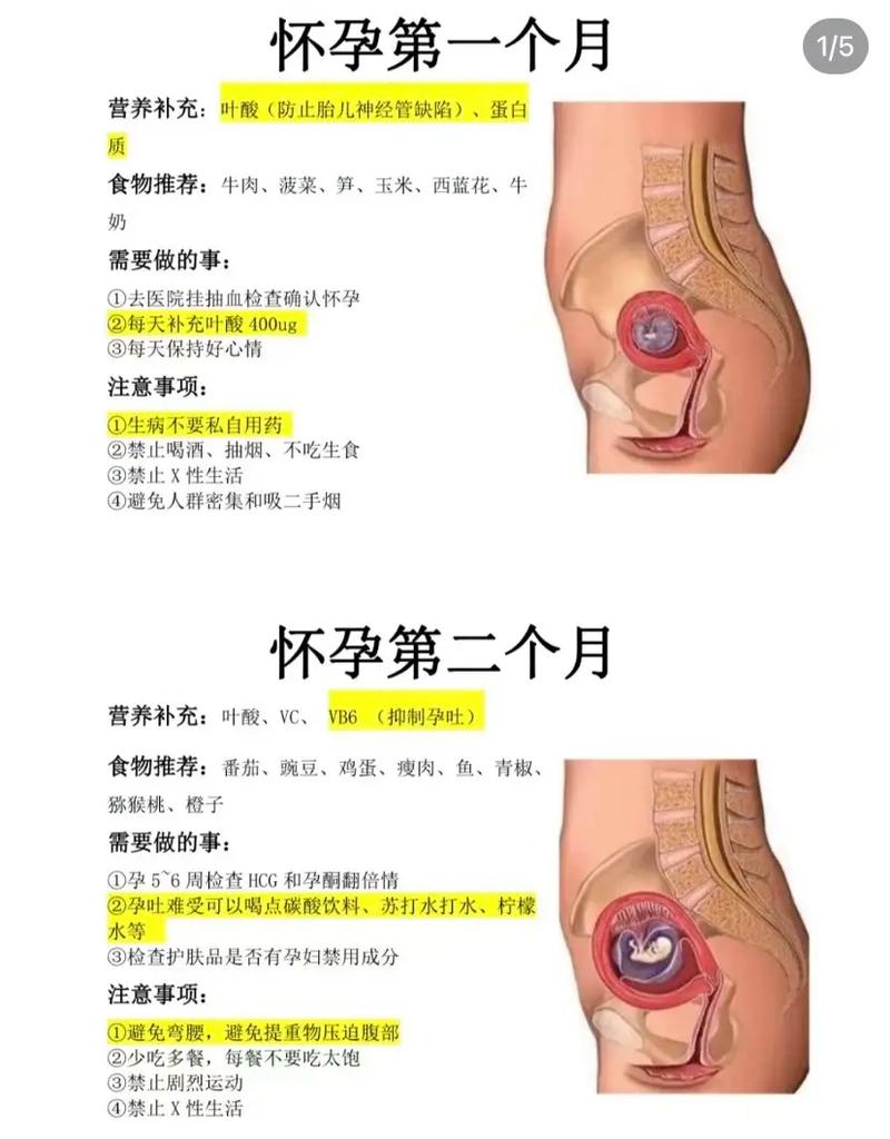 女人怀孕有什么症状
