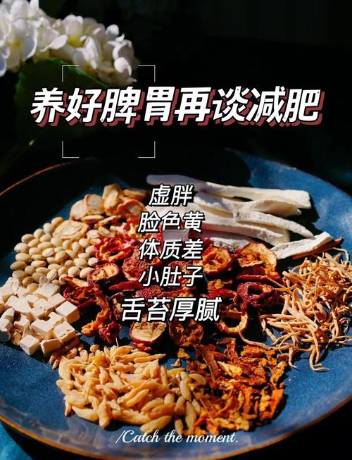 湿胖人吃什么食物减肥