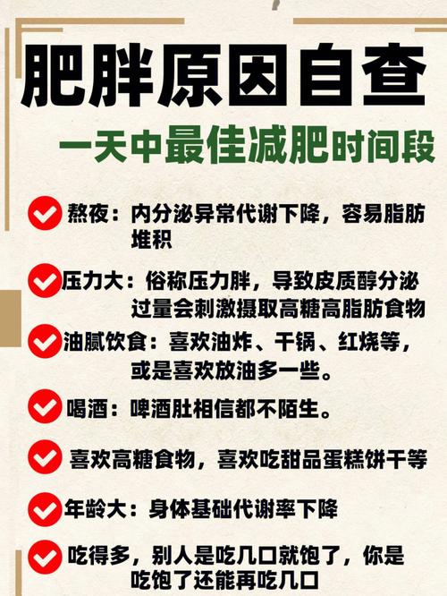 肥胖不易减肥是什么原因