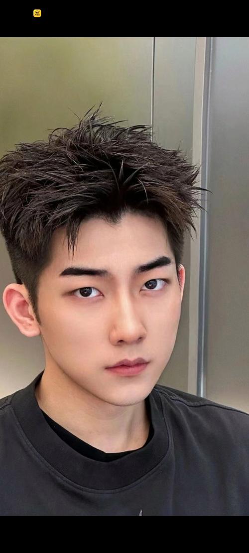 鹅蛋脸男适合什么发型