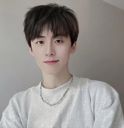 鹅蛋脸男适合什么发型