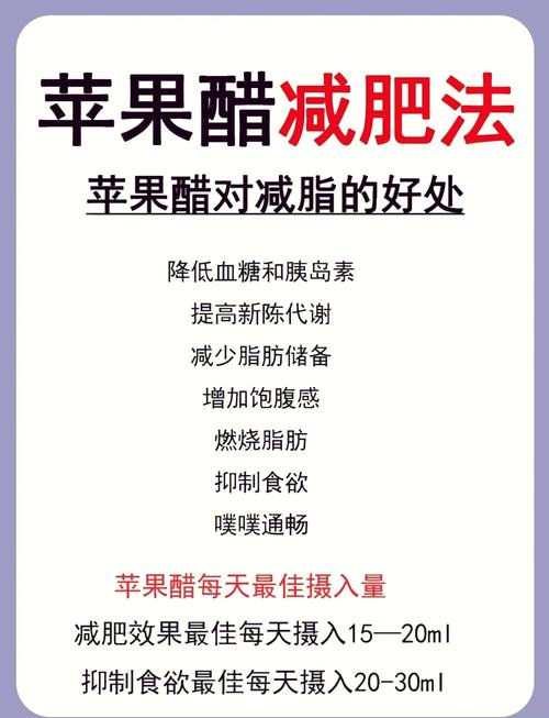 和什么醋可以减肥