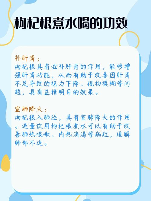 枸杞根有什么作用