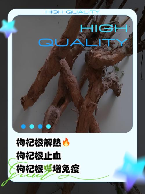 枸杞根有什么作用