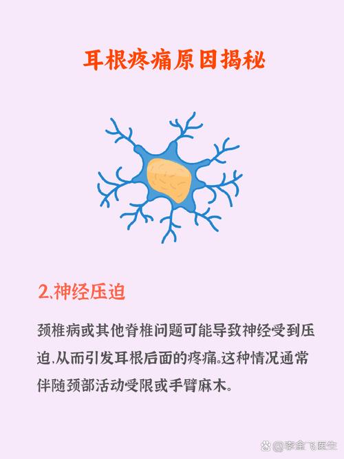 为什么发根会痛