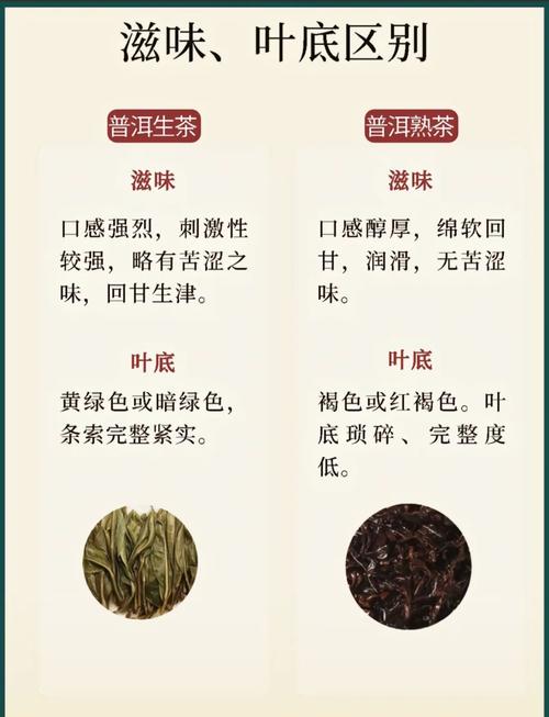 熟普洱什么时候喝减肥