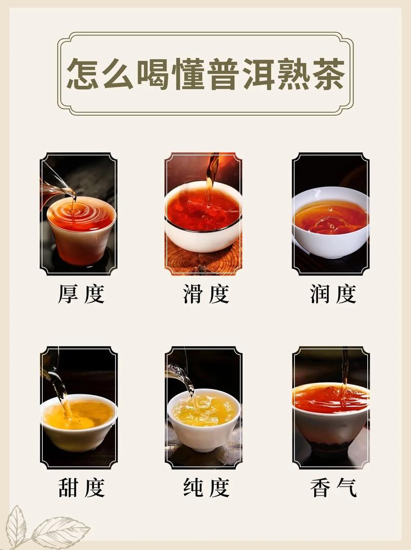 熟普洱什么时候喝减肥