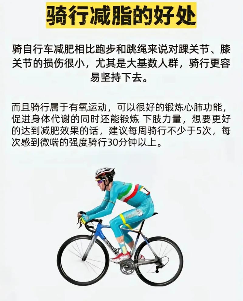 什么样的自行车会减肥效果