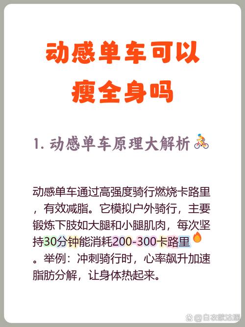 什么样的自行车会减肥