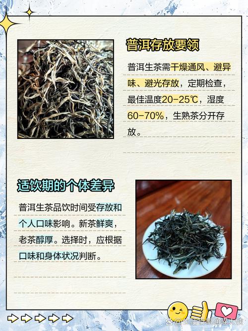 生普洱什么时候喝减肥效果好