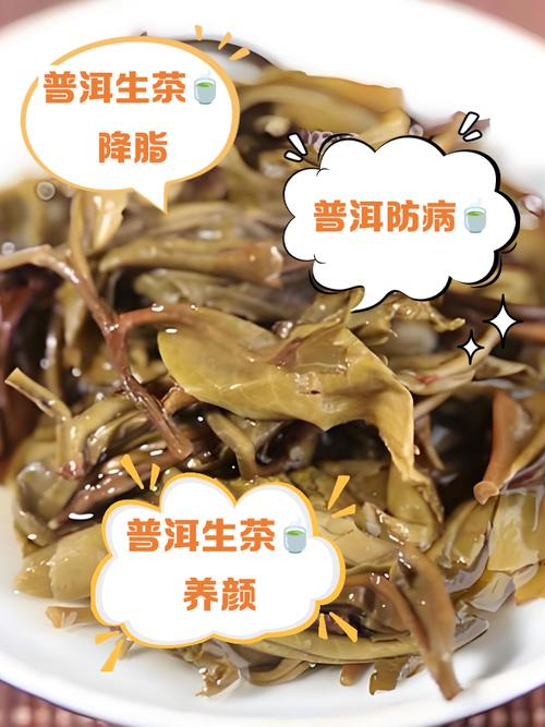 生普洱什么时候喝减肥