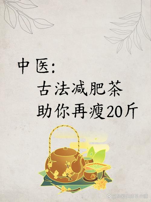 泡什么喝茶可以减肥吗