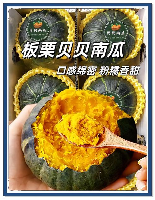 南瓜为什么适合减肥