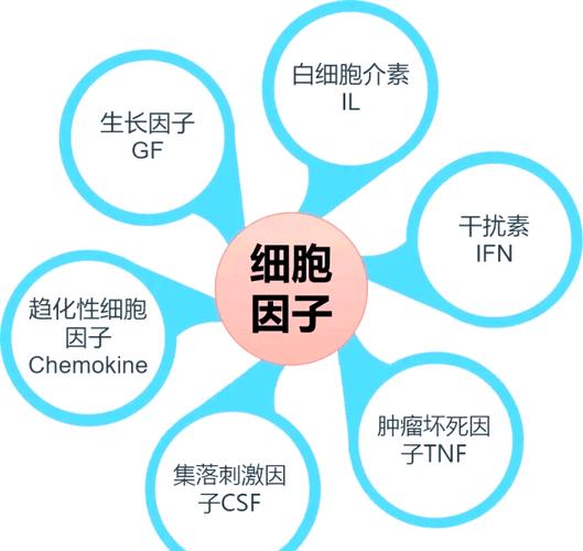 细胞生长因子是什么